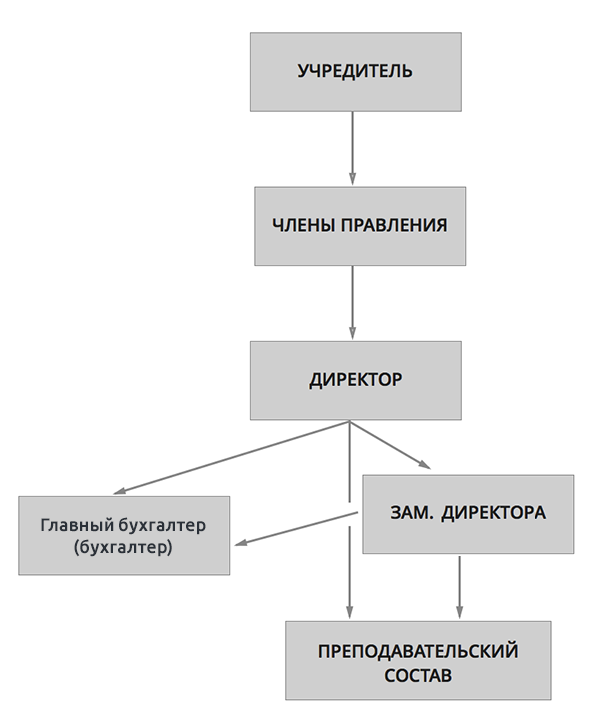 Организационная структура и система управления